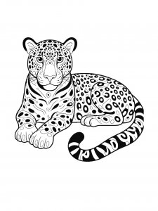 Jaguar Coloring Pages 21