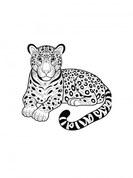 Jaguar coloring pages