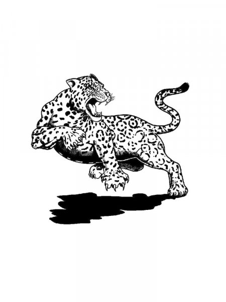 Jaguar coloring pages