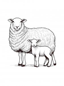 Lamb Coloring Pages 31