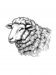 Lamb Coloring Pages 35