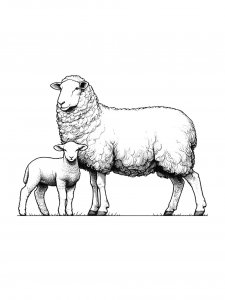 Lamb Coloring Pages 40