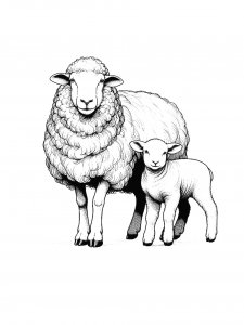 Lamb Coloring Pages 46