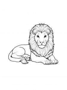Lion Coloring Pages 64