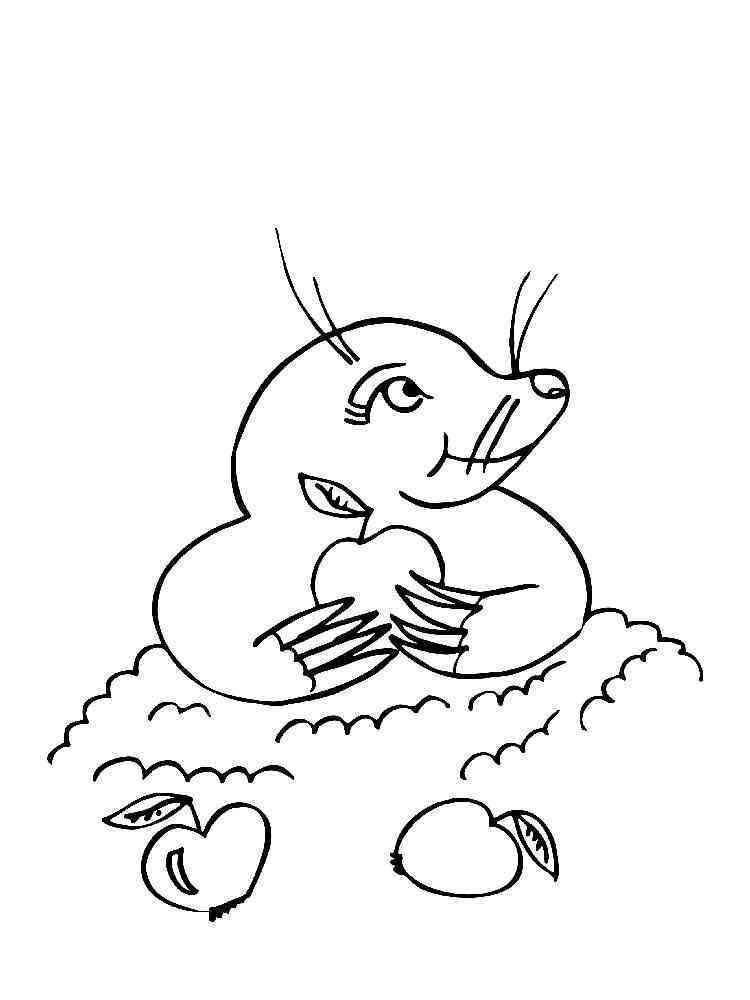 Free Mole coloring pages. Download and print Mole coloring pages