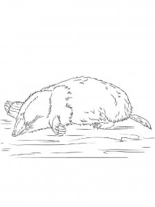 Mole coloring page - picture 11