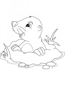 Mole coloring page - picture 12