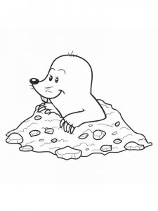 Mole coloring page - picture 13