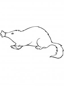 Mole coloring page - picture 2