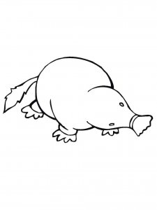 Mole coloring page - picture 3