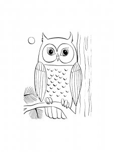 Coloring Pages Animals Owl 18