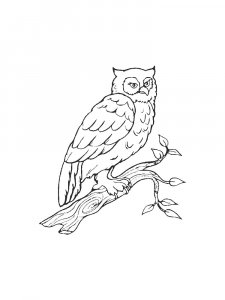 Coloring Pages Animals Owl 22