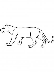 Panther coloring page - picture 11