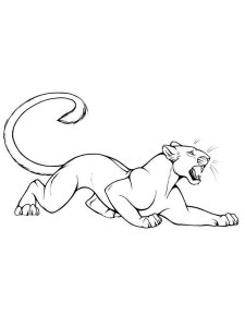 Panther coloring page - picture 12