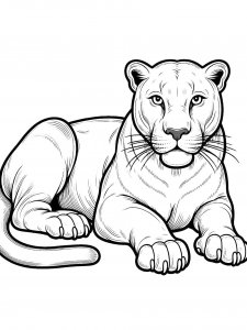 Panther Coloring Pages 18