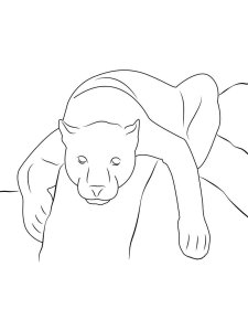 Panther coloring page - picture 2
