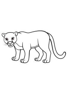 Panther coloring page - picture 3