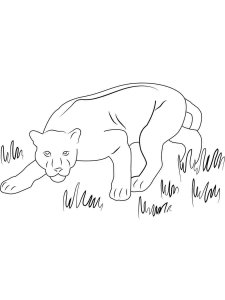 Panther coloring page - picture 4