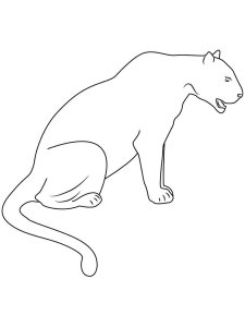 Panther coloring page - picture 6