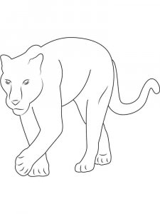 Panther coloring page - picture 7