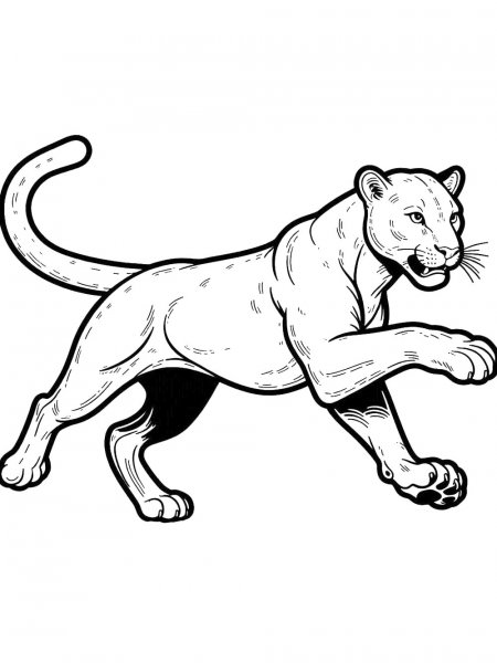 Panther coloring pages