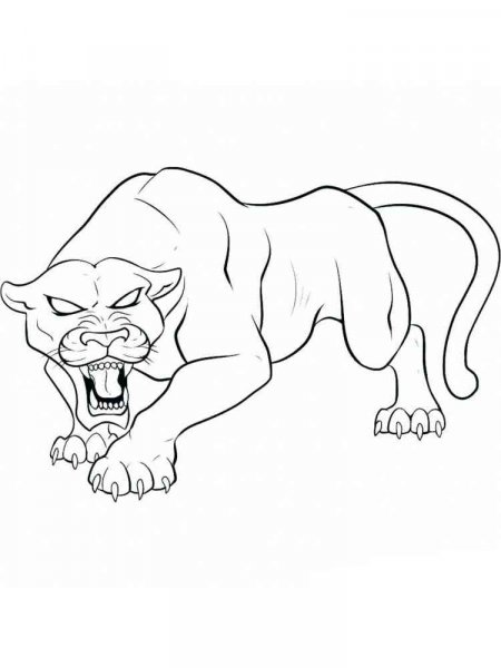 Panther coloring pages