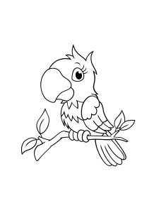 Parrot Coloring Pages 24