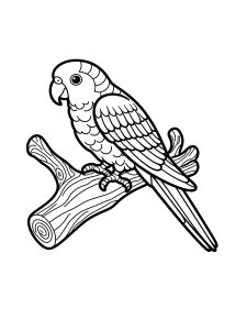 Parrot Coloring Pages 27