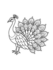 Coloring Pages Animals Peacock 18