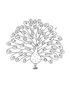 Coloring Pages Animals Peacock 19