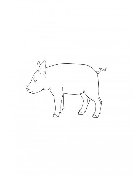 Pig coloring pages