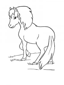 Pony coloring page - picture 1
