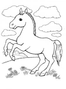Pony coloring page - picture 14