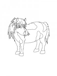 Pony Coloring Pages 17
