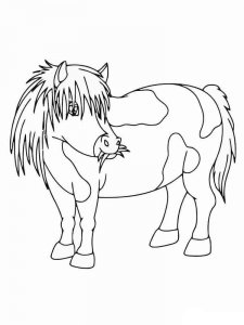 Pony coloring page - picture 3