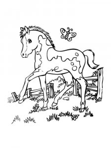 Pony coloring page - picture 9
