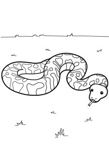 Python coloring page - picture 1
