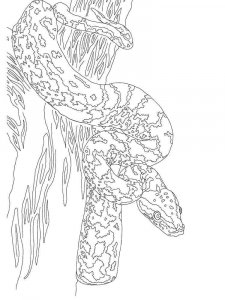 Python coloring page - picture 10