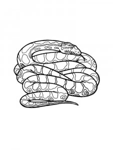 Python coloring page - picture 11