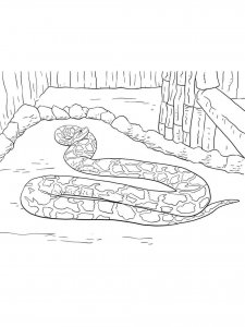 Python coloring page - picture 13