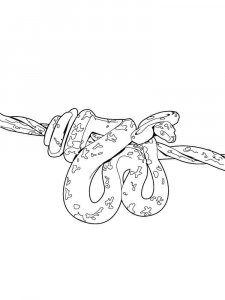 Python coloring page - picture 15