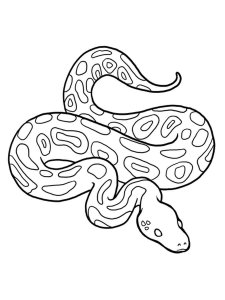 Python coloring page - picture 2