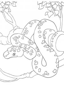 Python coloring page - picture 4