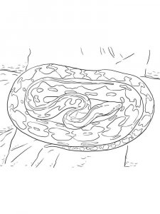 Python coloring page - picture 5