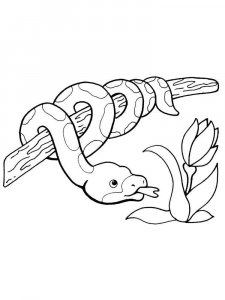 Python coloring page - picture 8