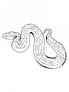 Python coloring page - picture 9