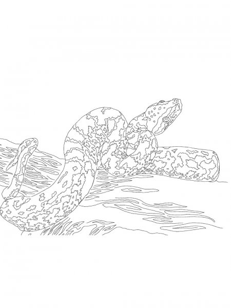 Python coloring pages