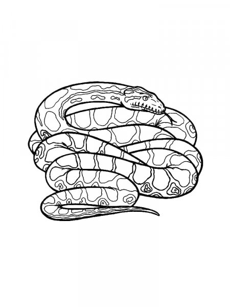 Python coloring pages