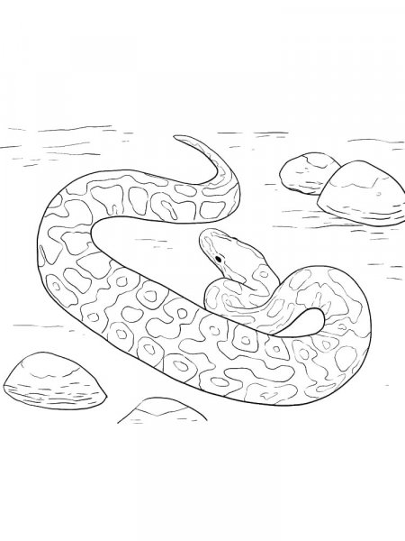 Python coloring pages