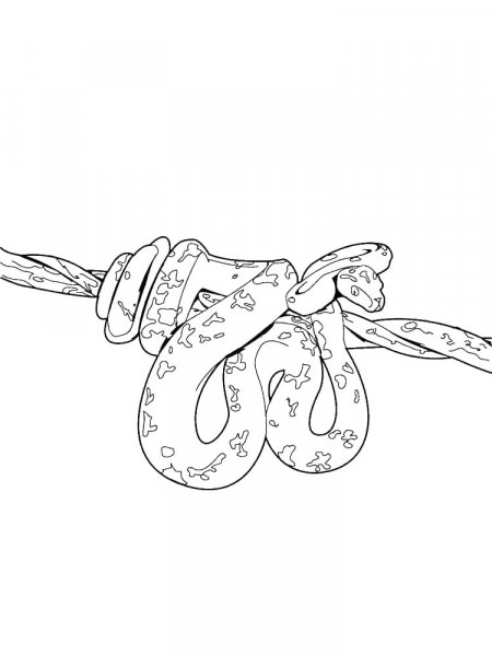 Python coloring pages